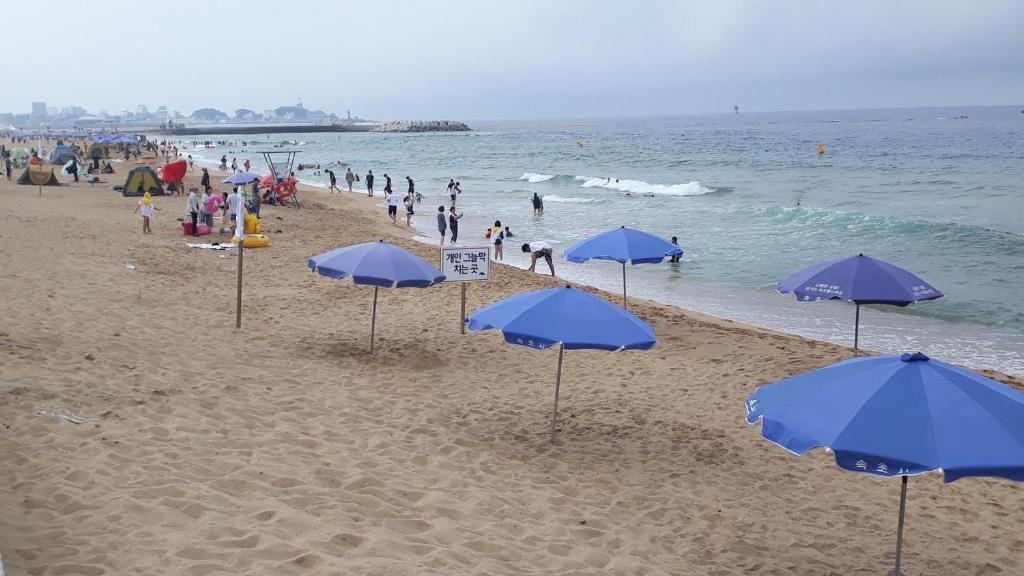 ثوتْسو Sunrise Hotel Junior Suite Room11F Sea- View المظهر الخارجي الصورة